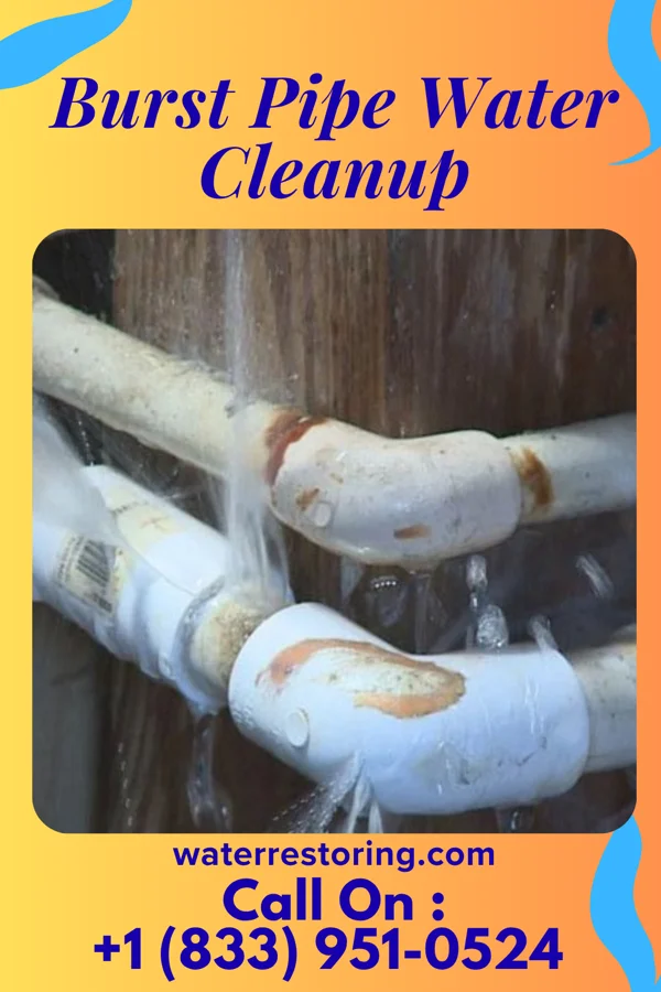 Burst Pipe Water Cleanup in Moscow, PA