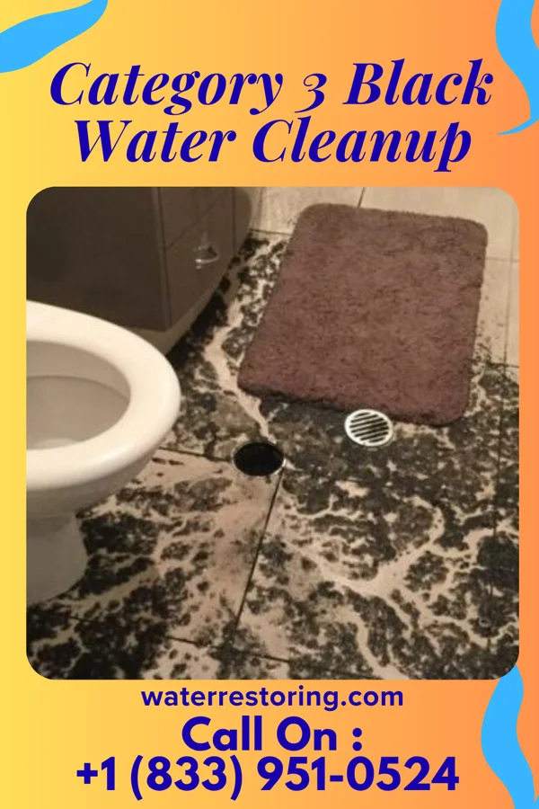 Category 3 Black Water Cleanup in Moscow, PA