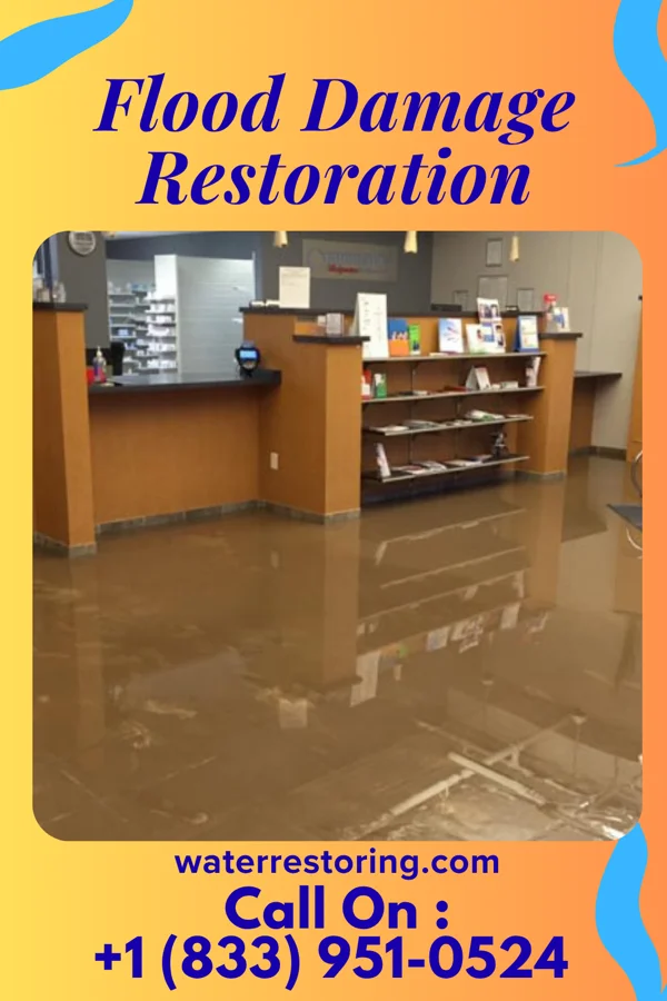 Flood Damage Restoration in Moscow, PA