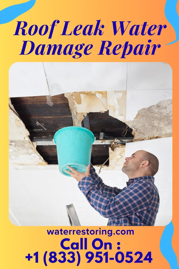 Roof Leak Water Damage Repair in Moscow, PA