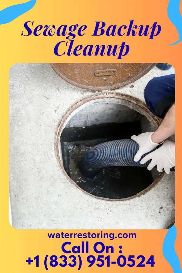 Sewage Backup Cleanup in Moscow, PA