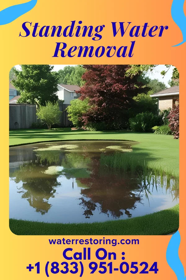 Standing Water Removal in Moscow, PA